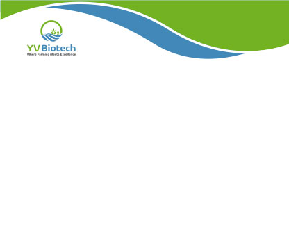 Yv Biotech Letter head