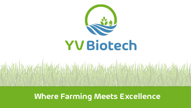 YV Biotech Business card